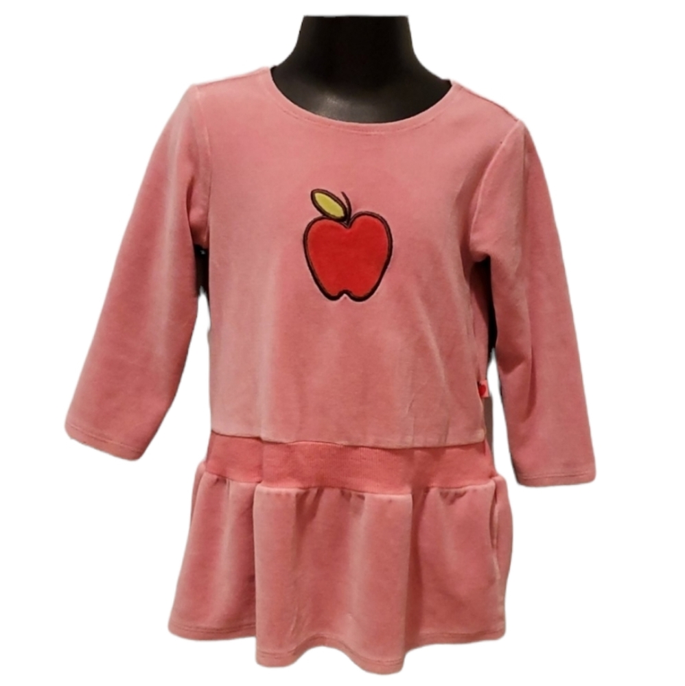 Baby Gap Pink Red Apple Velour Dress